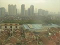 Shanghai (833)